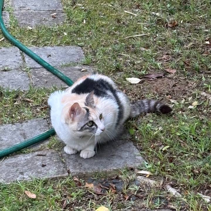 64b10cd9 f77f 4b8e b6d4 c99b4d961d55 1718701836917