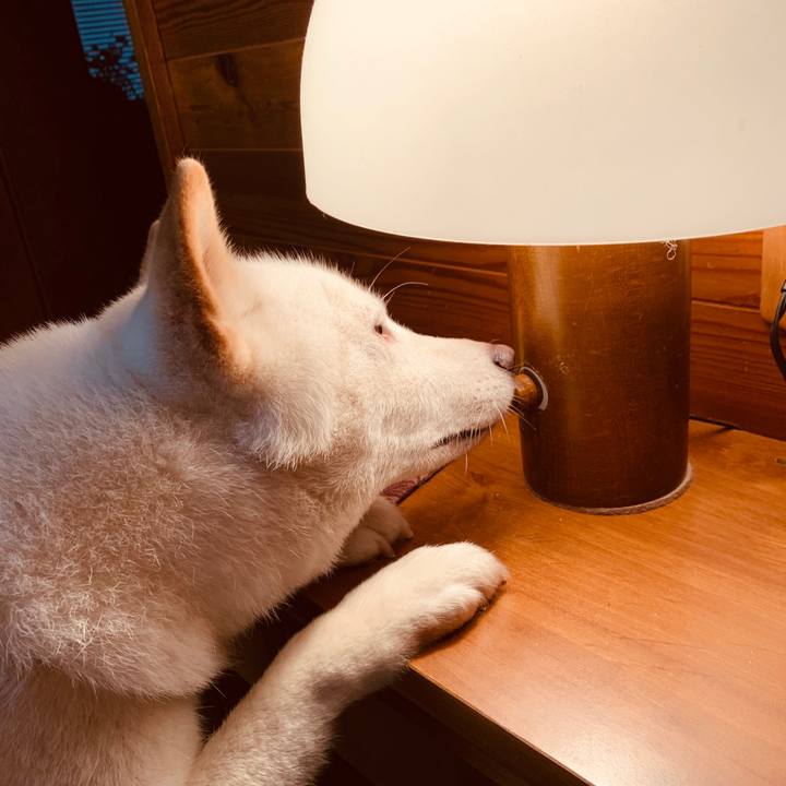 64b14911 f869 4b6a bc51 a359d472327a 1565385989439