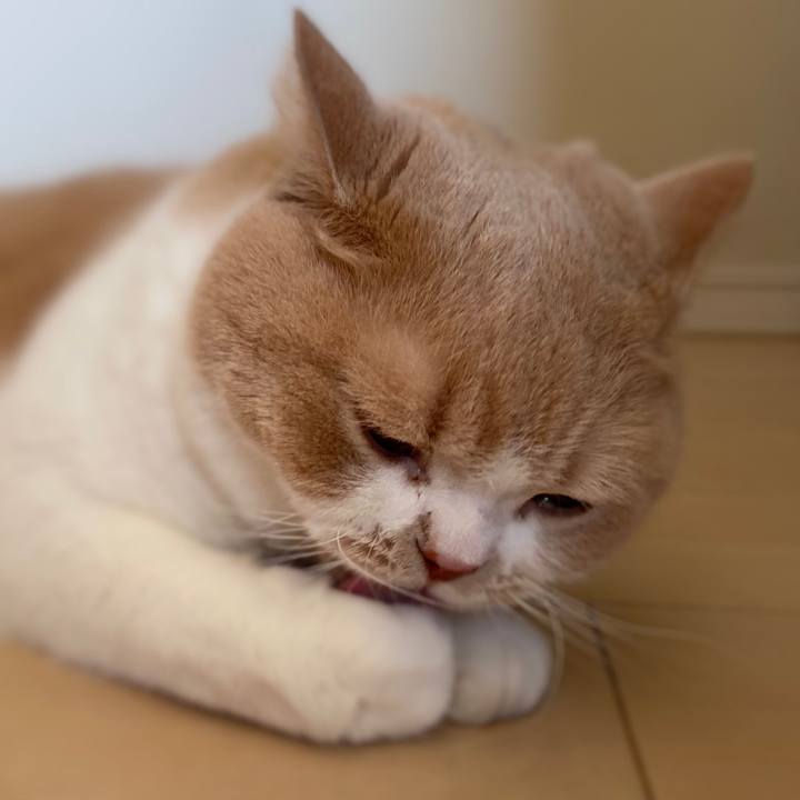 64b16792 73b4 41e1 a183 b17009068248 1602639724510