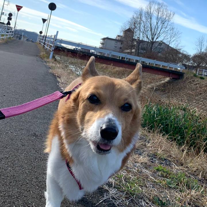 64b1901d 0dc4 468f 884e 4b610c0a3371 1703036461137