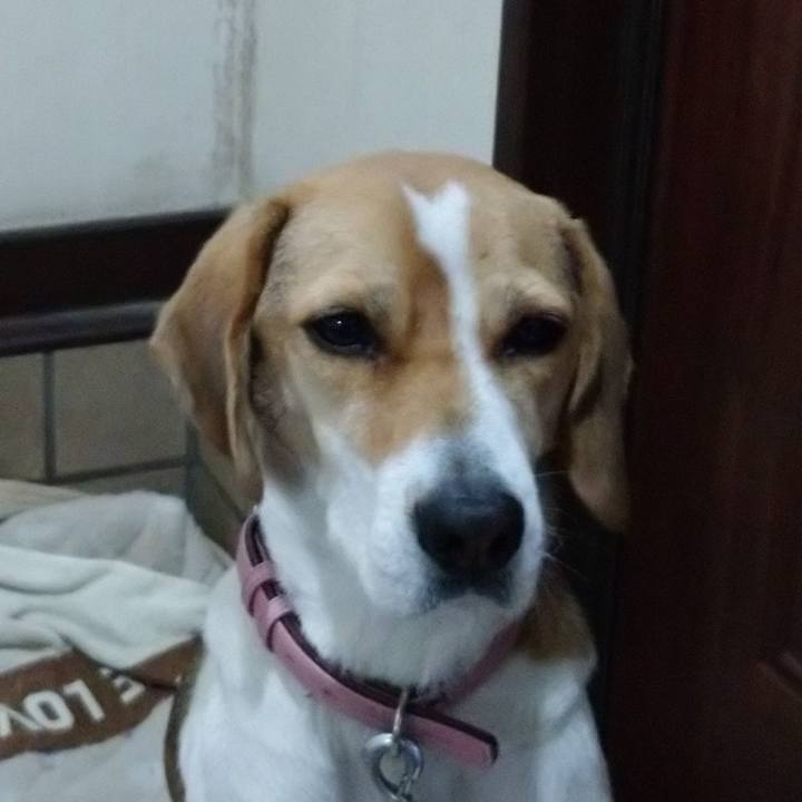 64b196d6 c2a5 4eda 91ae fb5668f96f1c 1576637428450