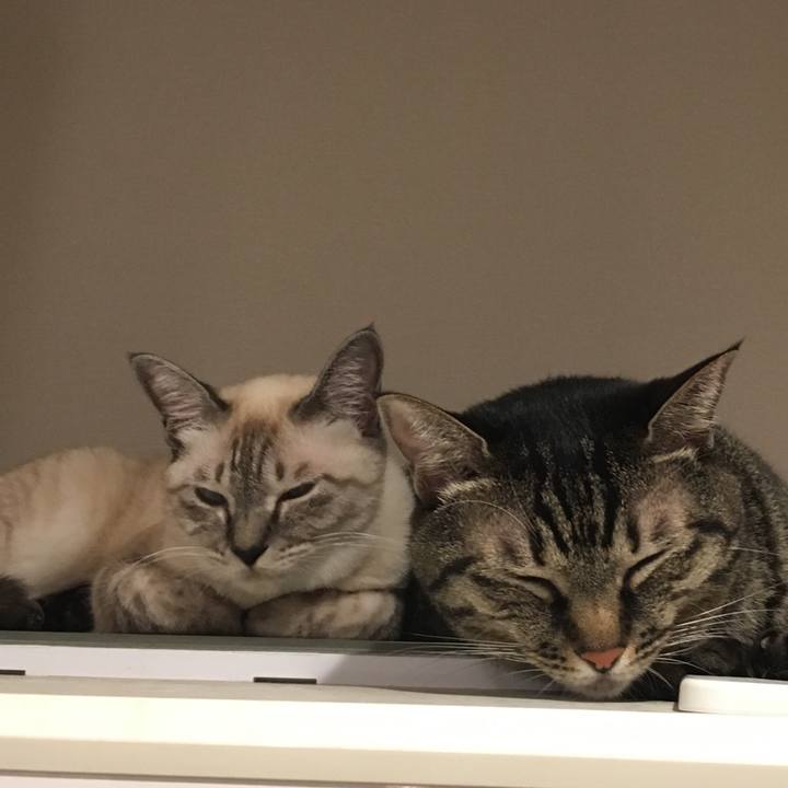 64b21351 0a9a 47e2 a197 919a972b83eb 1569577562397