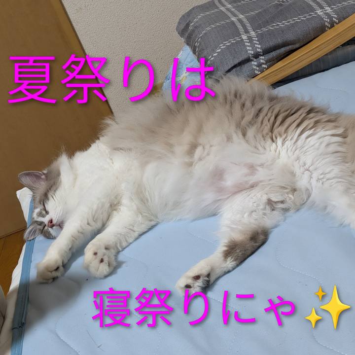 64b221c6 df22 4e03 9bdd f0a287187edd 1787951568871