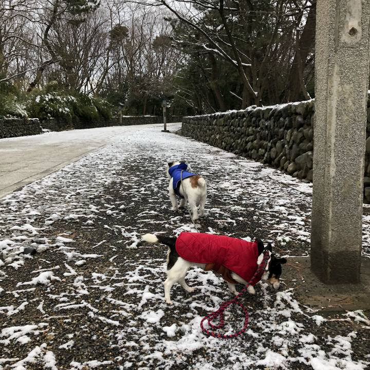 64b22e6e e942 4e18 9b5f 1f63c28feabd 1550035882686