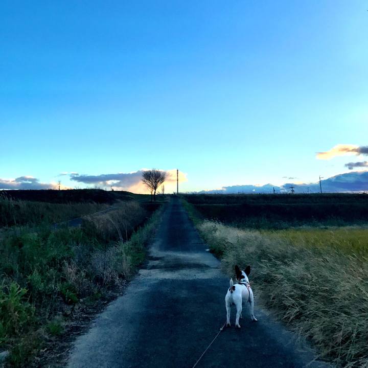 64b245e2 b3a5 44be 91d2 07933f170df3 1511082644729