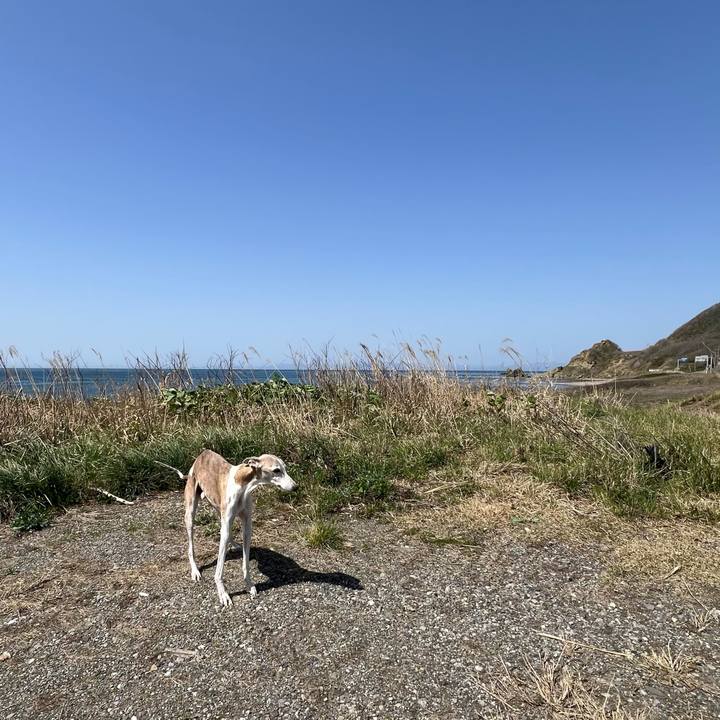 64b26ce5 7edb 4a6f b1eb 5bded05f7ebd 1776673225917