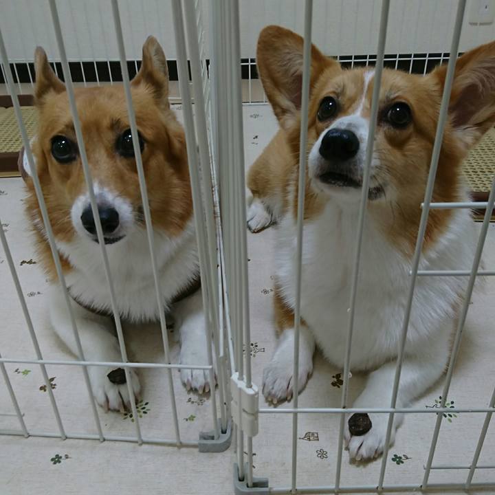 64b28fd3 9519 44f4 bdb6 1ac3645a11cd 1533261776338