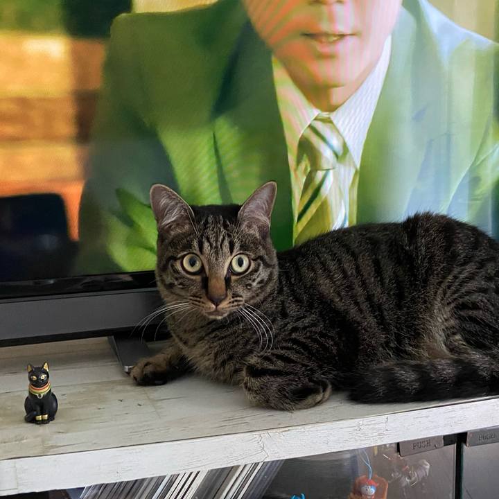 64b2a81f 7273 4dc7 8c31 0c8012c26267 1623592179123