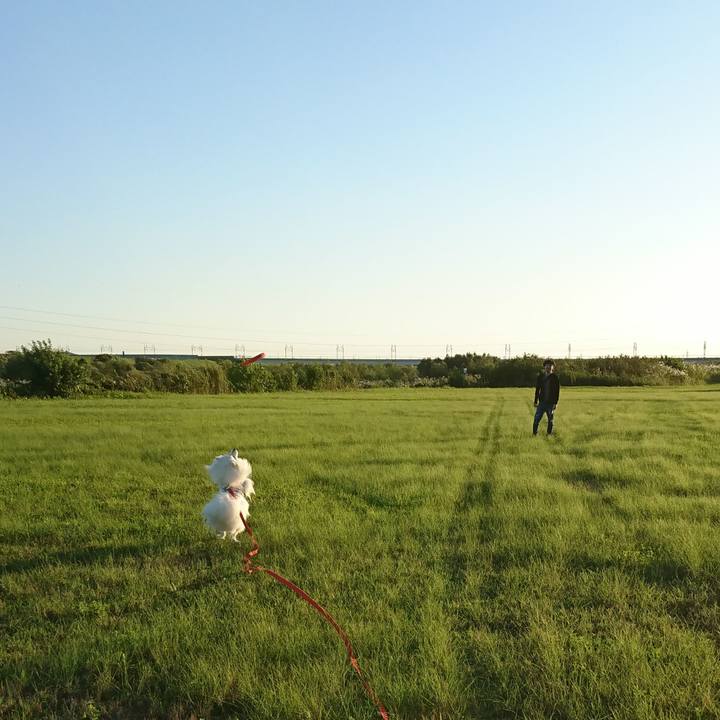 64b2cc0f 15c3 4efa b0f8 c592606204f1 1602403986058