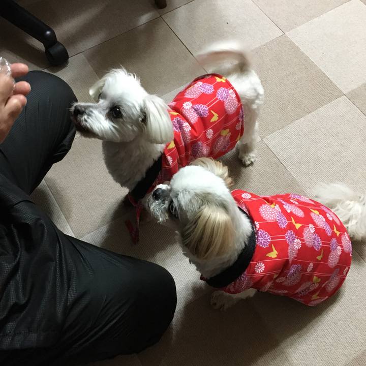 64b30021 4dbf 45b8 a9f2 5e6e5e45554a 1644669990950