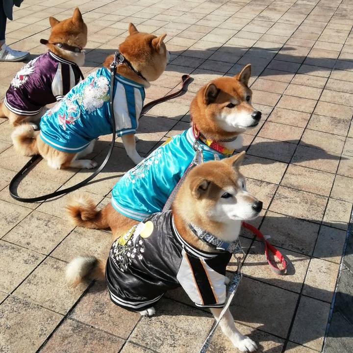 64b308e6 b60f 4db2 891c a14116ce217d 1636897985132