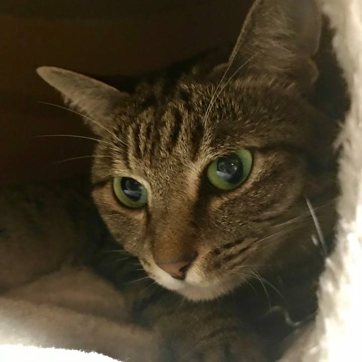 64b32e0c b4c9 4afa 8f36 3e4e77c5879b 1530860720759