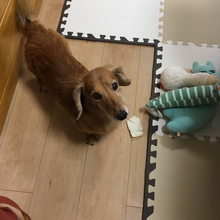 64b39c55 0cf7 439c b51f f51ab1b18f9a 1626956338840