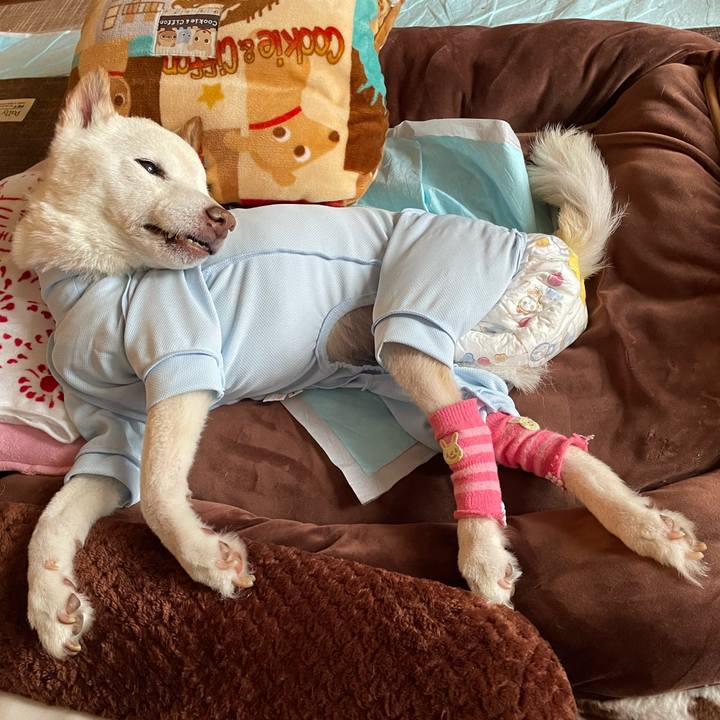 64b39d76 47e3 4320 b879 17692b4d0fa9 1674384230699