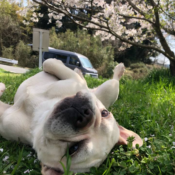 64b3a12b 3dc7 4c15 92ce f5a007b70625 1522672427702