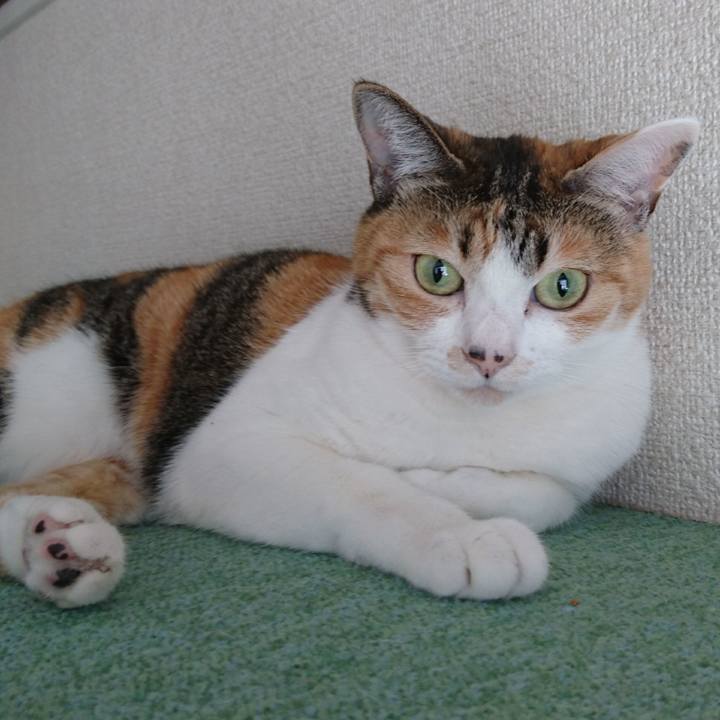 64b3c0f1 21b4 4d4f b6e7 0324fef4ccb8 1515244268463