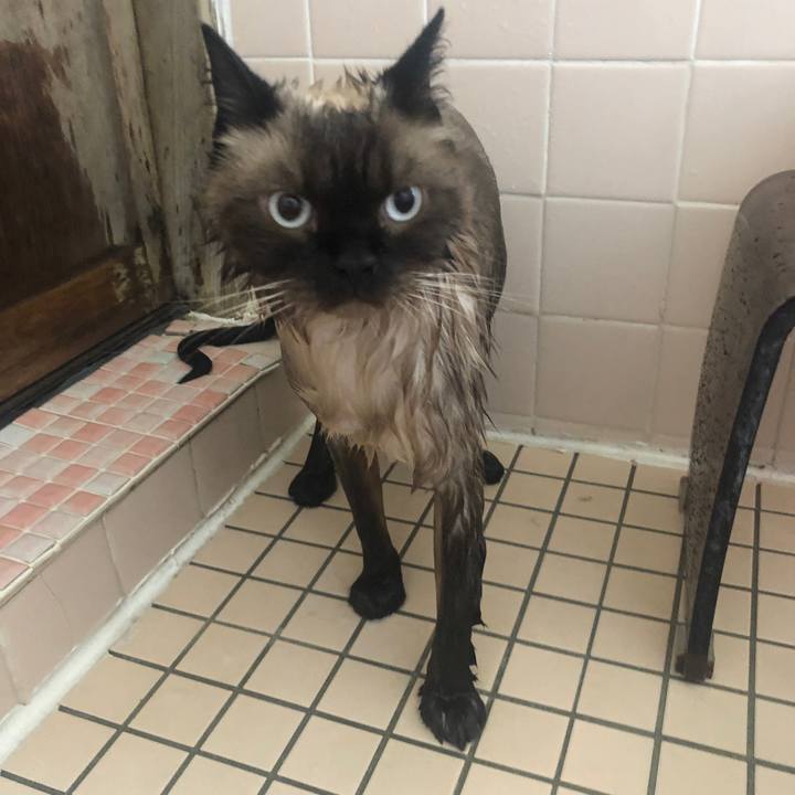 64b3d5db 882e 4659 a5ed 04429a6a7dc1 1627722766438