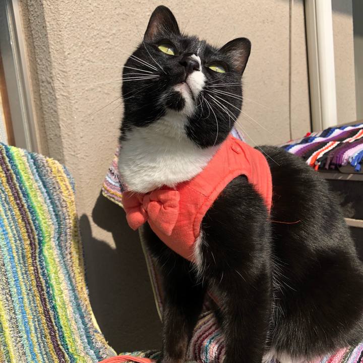 64b3d827 5c22 4f75 a5f4 5135f265e0ee 1524781312451