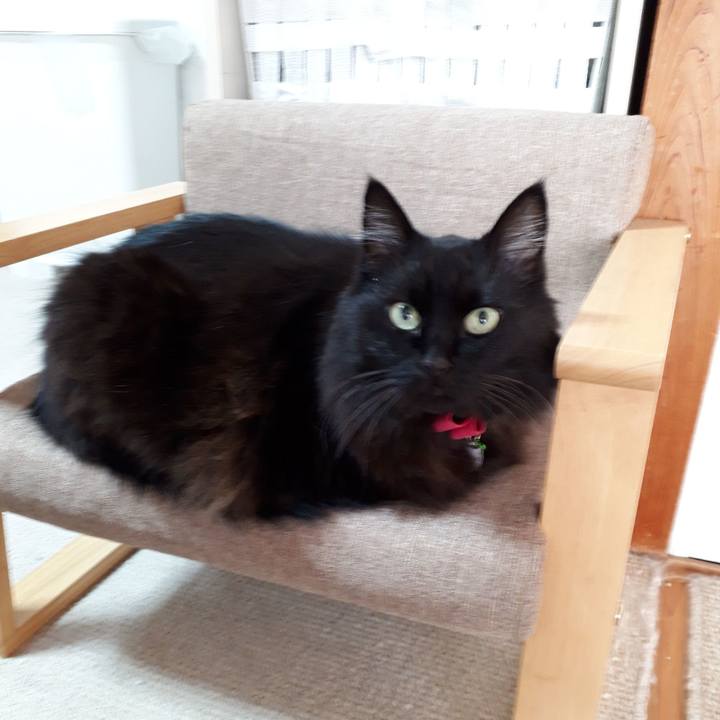 64b3f2cf 46aa 45c9 ba13 da8ee6cb2832 1516922542109