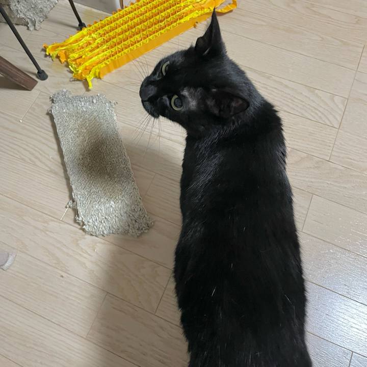 64b4006a 4796 4259 b244 fd187e711585 1748612170460