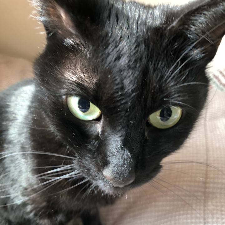 64b42ec4 7fae 48fd 9099 d0b51df86d58 1586569439778