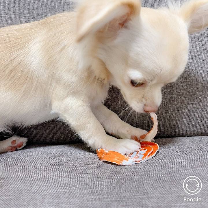 64b43343 33e6 4a21 a241 d49f0d181ee2 1607388624921