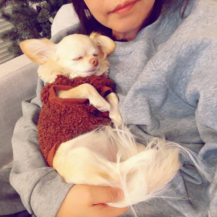 64b434a0 56be 4d8c 8161 4995a8400f9b 1702474704473