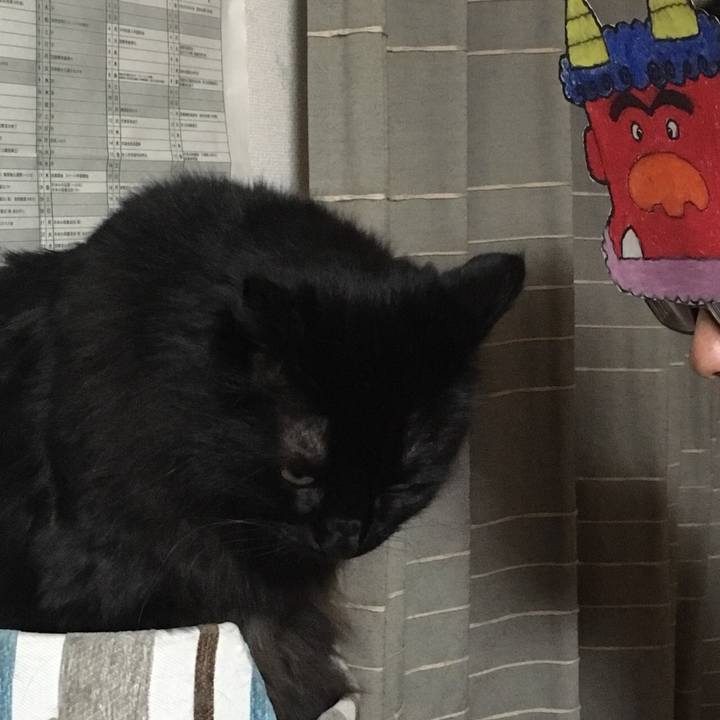 64b445ba 92f3 4a0d a1f6 3a2b3f3e9057 1549213371264