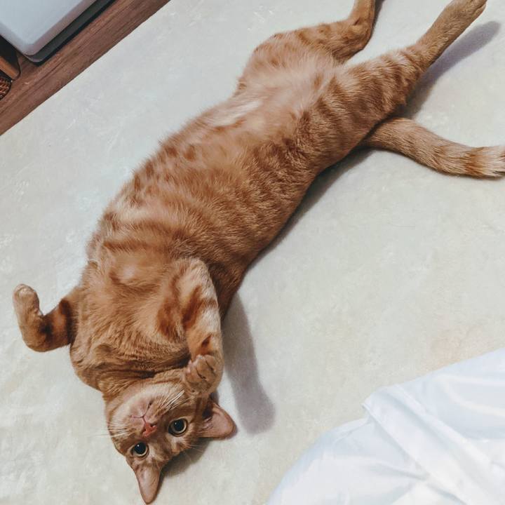 64b45f48 4660 4ad4 9c20 8cf16fb3db11 1617615890552