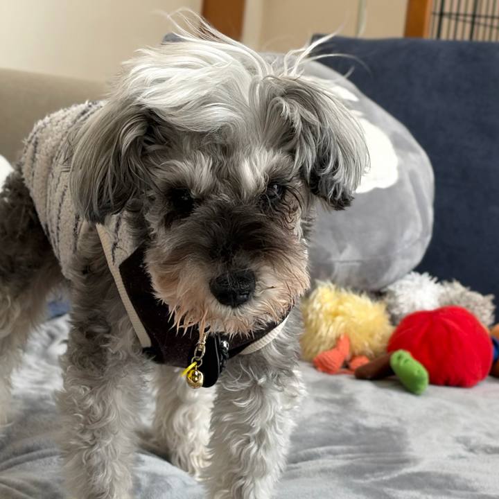 64b47032 b8bd 464f a9ed 533e5f84bc3e 1773632849768