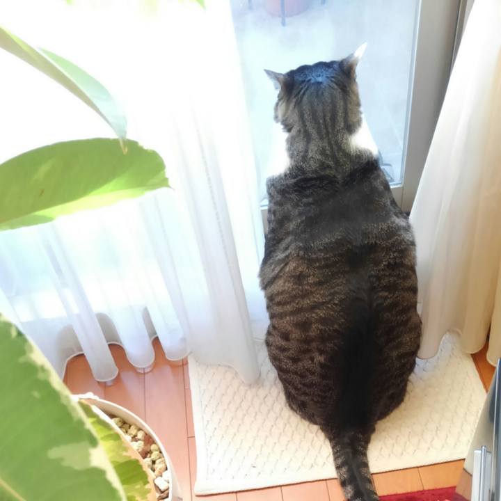 64b47de9 0937 4904 a696 efc193c93e01 1511735812219