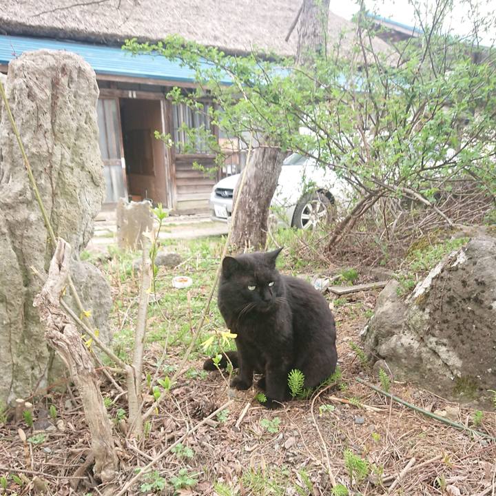 64b48f0b a4d1 471b ad2d 2c719c58ab81 1650805819185