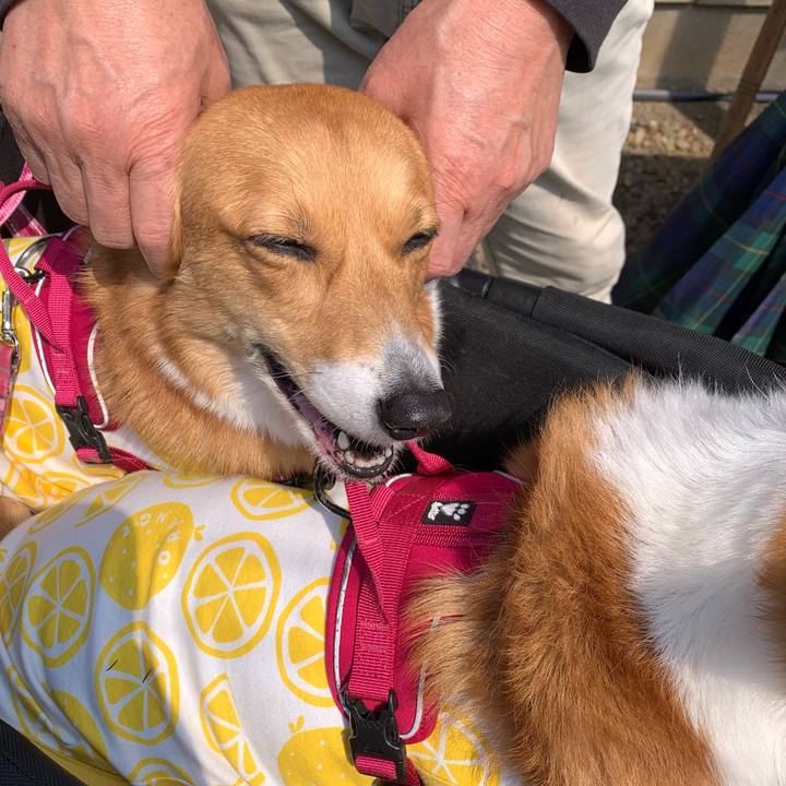 64b494ed 9e4d 49de ad67 03d5e893e981 1616732418329