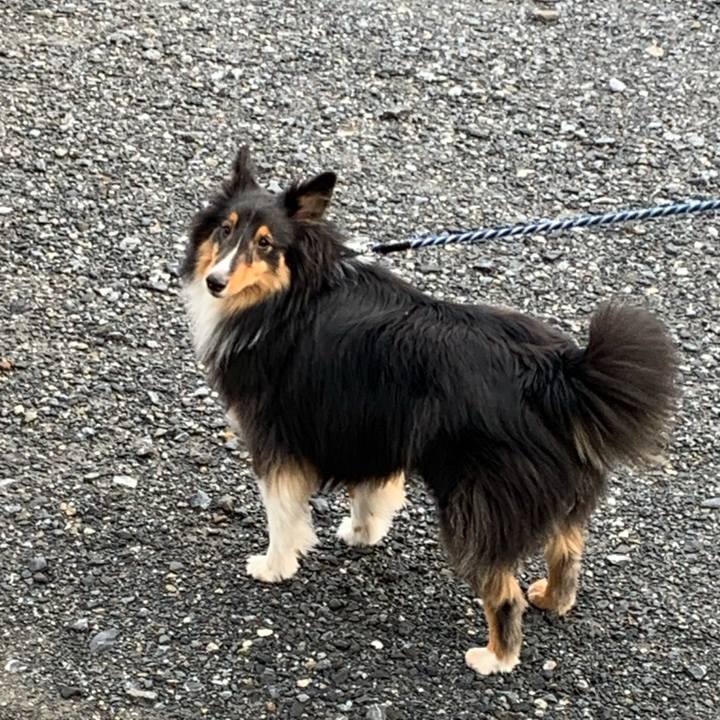 64b4b86d 6e2c 4a2d a7d5 2b6ffc4bab05 1587419236558