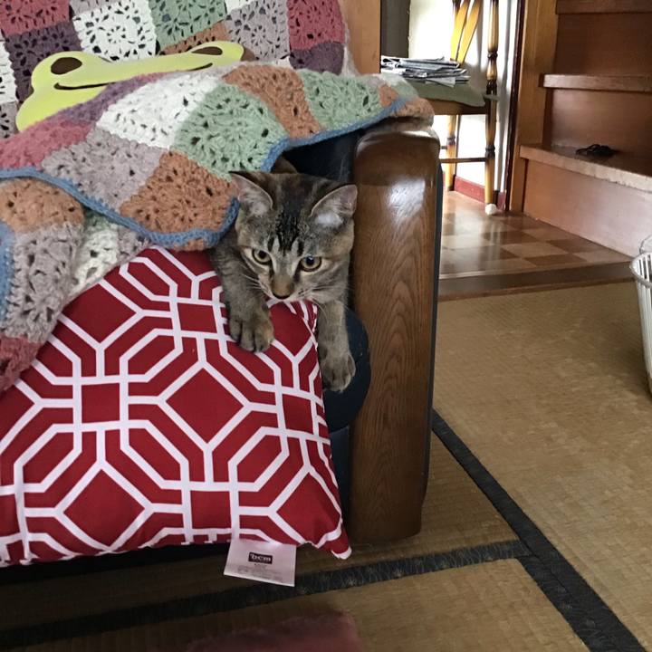 64b4e29e ade4 4d8c 9a61 850a0f8327ce 1573204448876