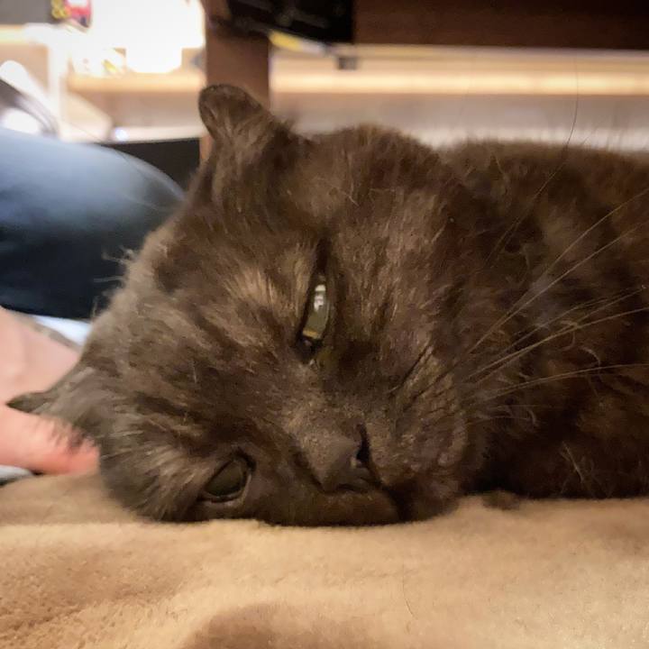 64b515d5 98cd 4f7c a987 3161edfeae19 1622912365540