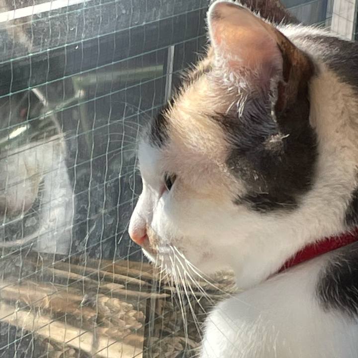 64b523e8 b113 4095 90b9 fb59a20e341a 1703895980766