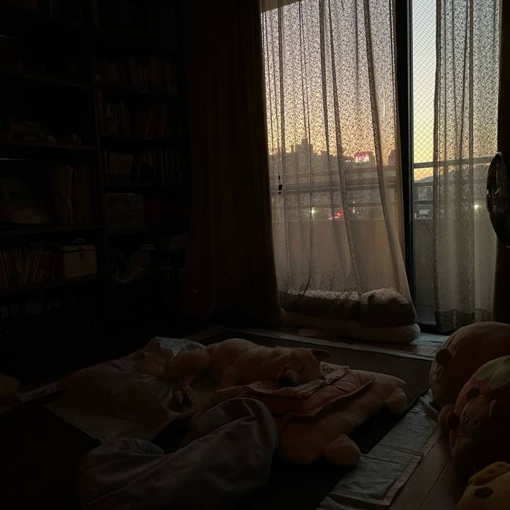 64b53b00 df5d 4109 a32a eb552389ab98 1665867180390