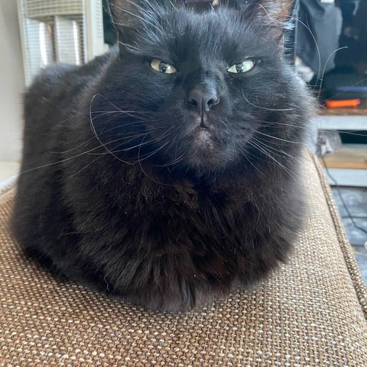 64b54f83 9771 45d9 bed0 220c1ac993f7 1606442138611