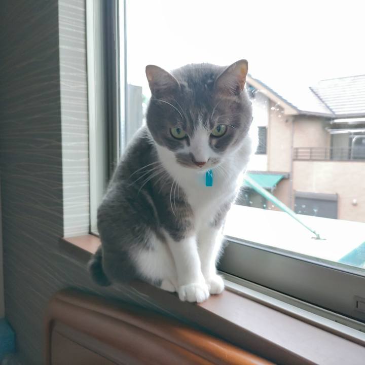 64b561e6 df7c 4f2e 9686 aed9c842c8cf 1711584032127