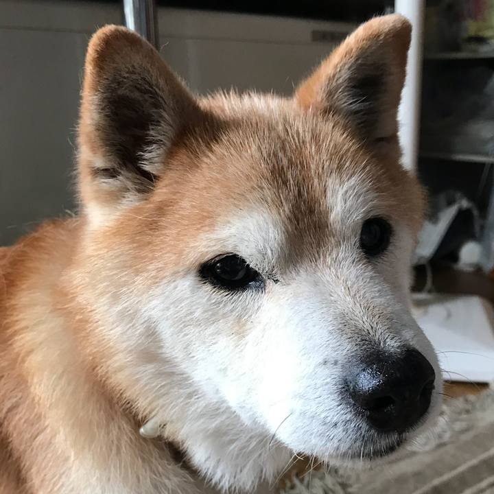 64b57f59 71c3 4e4a 8760 5519bfbdf088 1534134755707