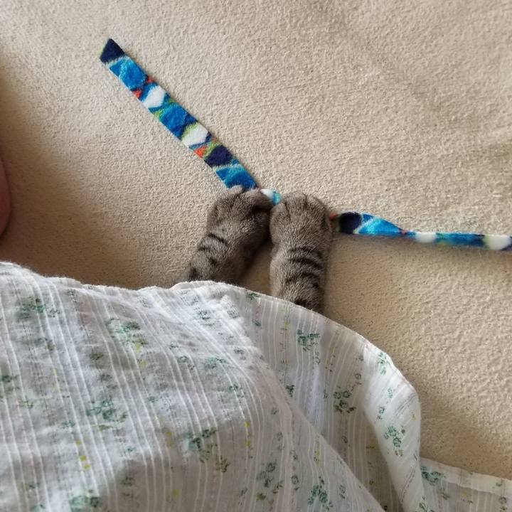 64b59760 c68c 44bb b13c aea101a2ee1f 1689130738590