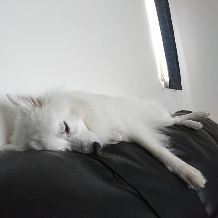 64b59b73 3d42 40e4 8752 247fef87e198 1591149075402