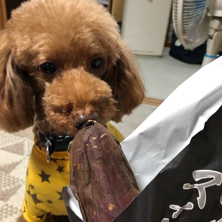 64b59c09 4ea0 440c bf14 1d83172ab44d 1569822494584