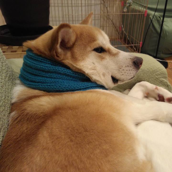 64b59c2a f490 41f8 8450 3849be717ba1 1546866424594