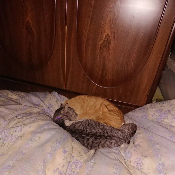 64b5aa37 ef7c 46c7 a0e8 ed1ca7acc964 1588173991464