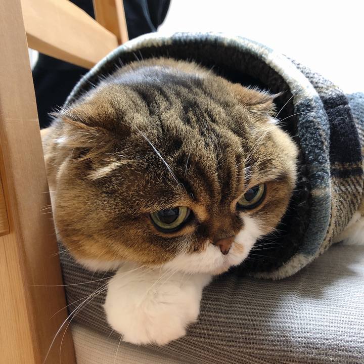 64b638ba b4a1 4088 ae41 94c4bf2f6e0e 1550497921280