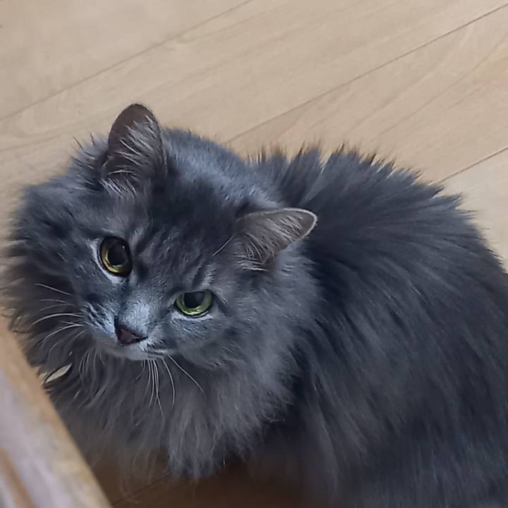 64b6462c 8b26 413b 880c 15bb3bb8a122 1677334255968