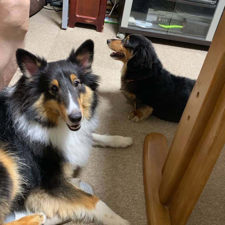 64b658ea 74dc 405a 81f8 6dbcb6be9dcb 1567897260221