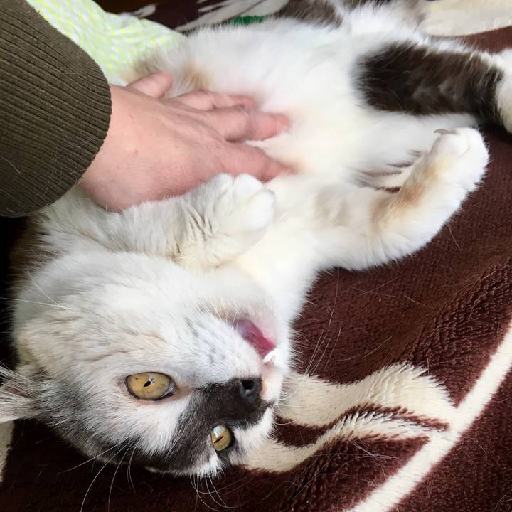 64b65e0a 323a 4312 ae84 ec6b8964d699 1550903550579